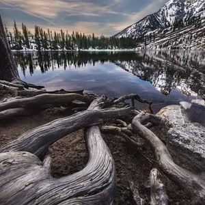 Meet your Posher, Frank